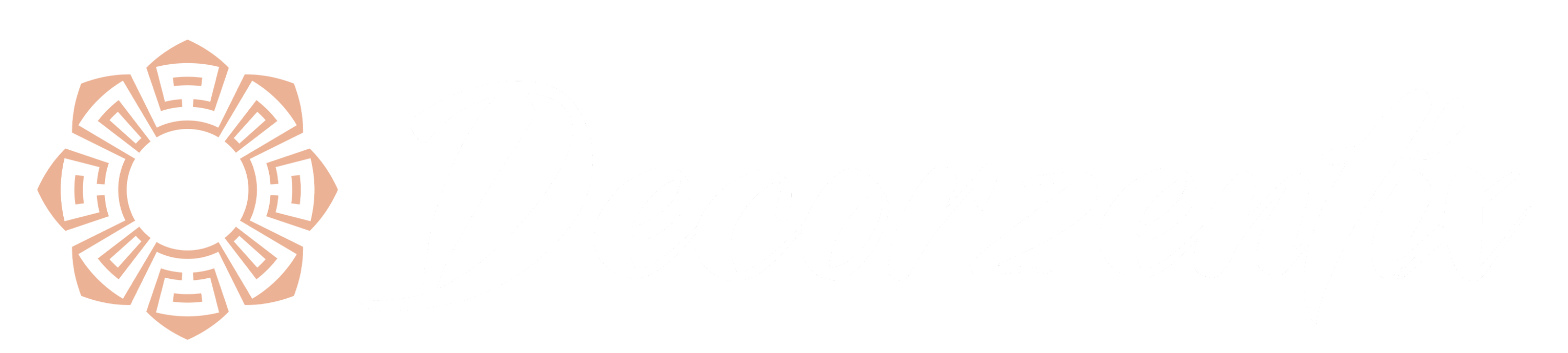 Decorzentix Logo
